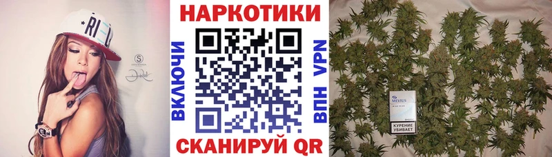 Названия наркотиков Воркута Каннабис  Альфа ПВП  ГАШИШ  Меф  Псилоцибиновые грибы  COCAIN 