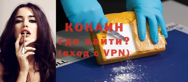 шишки Богородск