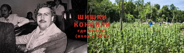 шишки Богородск
