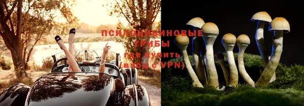 шишки Богородск